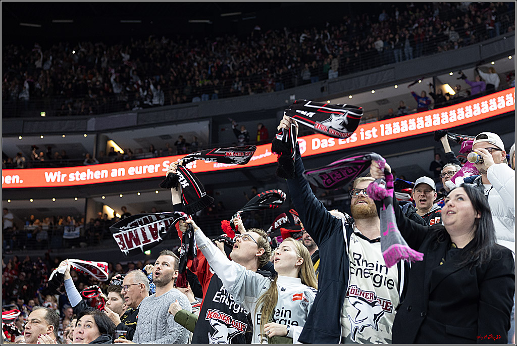 PENNY DEL 1; Kölner Haie - Fischtown Pinguins; Köln, 15.11.2024